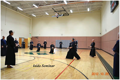 Iaido